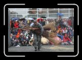 mere courage 030 * 3504 x 2336 * (4.1MB)